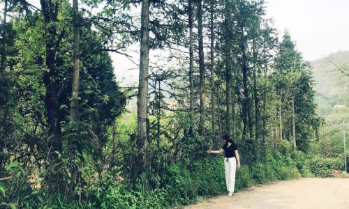 Chính chủ bán gấp mảnh đất tại Nguyễn Chí Thanh, Sapa, Lào Cai